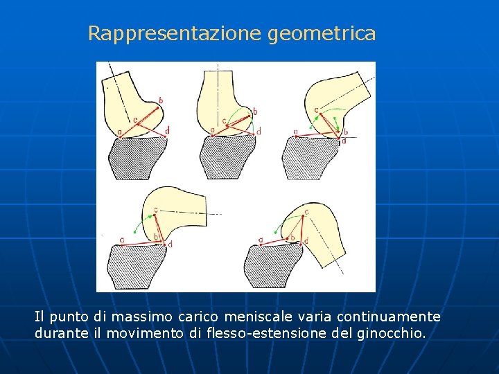 Rappresentazione geometrica Il punto di massimo carico meniscale varia continuamente durante il movimento di
