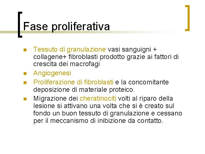 Fase proliferativa n n Tessuto di granulazione vasi sanguigni + collagene+ fibroblasti prodotto grazie