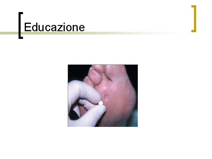Educazione 
