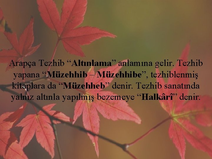 Arapça Tezhib “Altınlama” anlamına gelir. Tezhib yapana “Müzehhib – Müzehhibe”, tezhiblenmiş kitaplara da “Müzehheb”