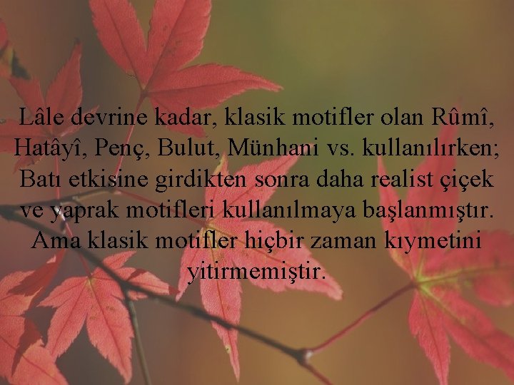 Lâle devrine kadar, klasik motifler olan Rûmî, Hatâyî, Penç, Bulut, Münhani vs. kullanılırken; Batı