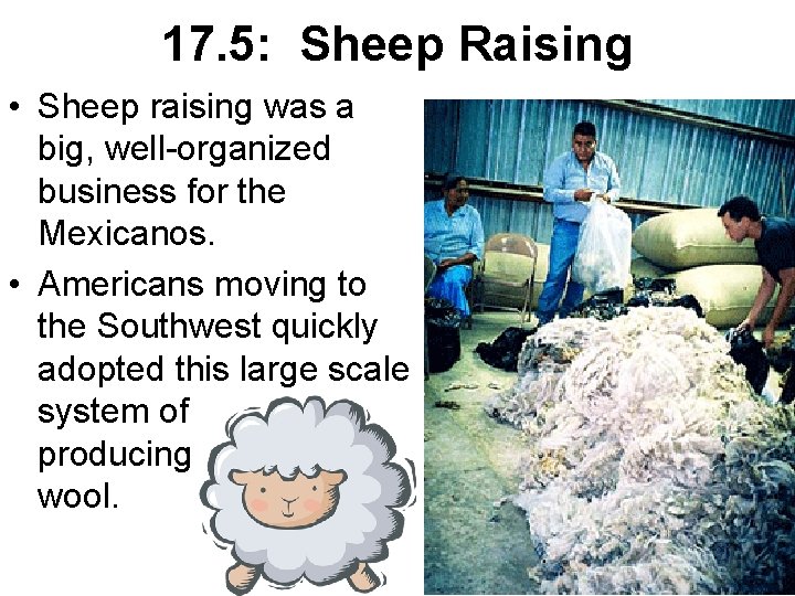 17. 5: Sheep Raising • Sheep raising was a big, well-organized business for the