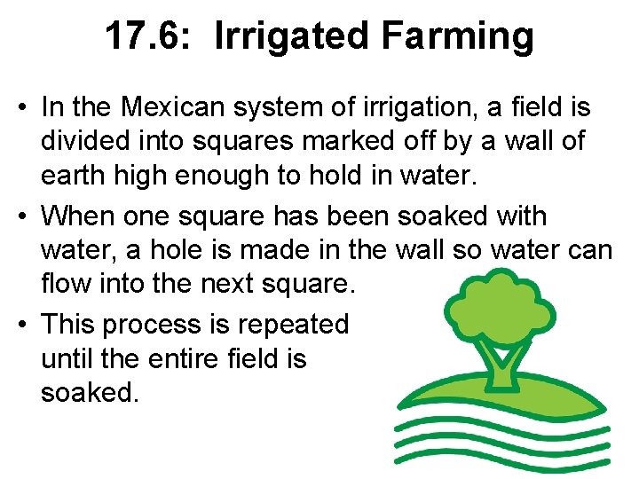 17. 6: Irrigated Farming • In the Mexican system of irrigation, a field is
