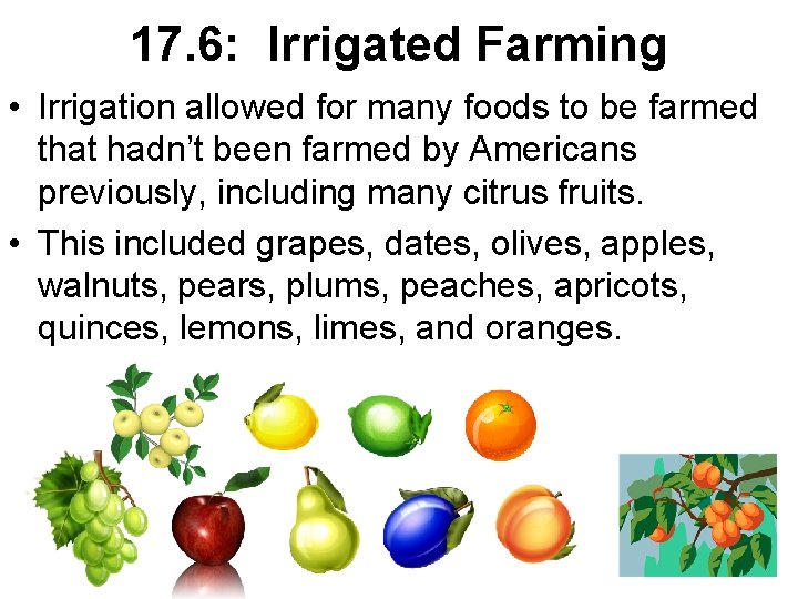 17. 6: Irrigated Farming • Irrigation allowed for many foods to be farmed that
