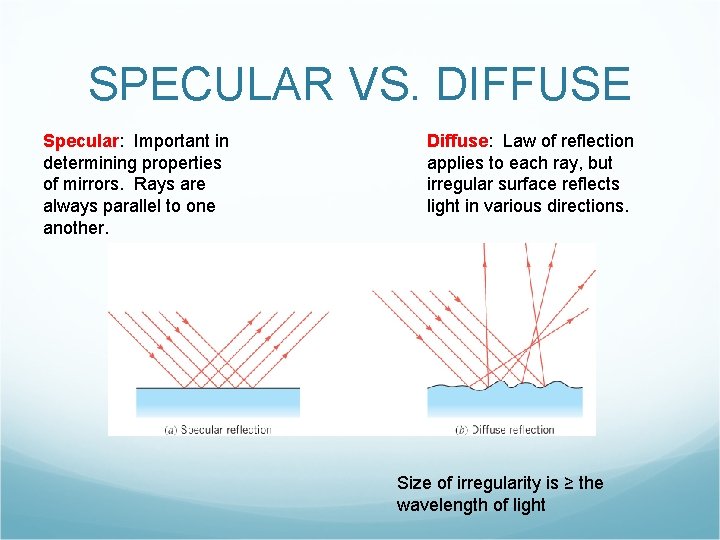 SPECULAR VS. DIFFUSE Specular: Important in determining properties of mirrors. Rays are always parallel