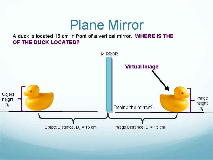 Plane Mirror A duck is located 15 cm in front of a vertical mirror.