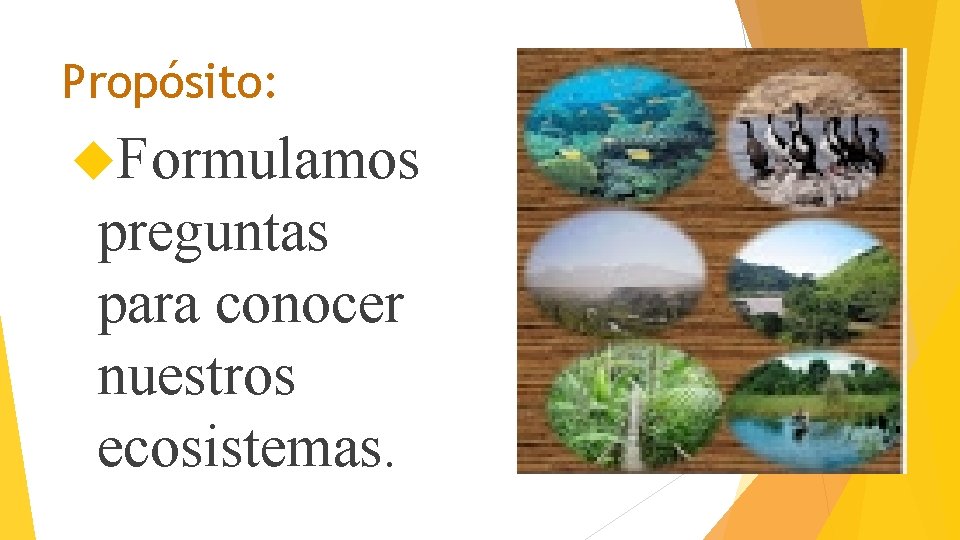 Propósito: Formulamos preguntas para conocer nuestros ecosistemas. 