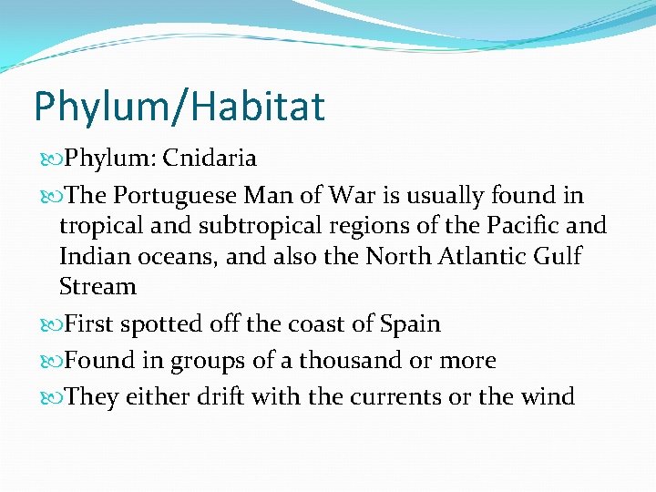 Phylum/Habitat Phylum: Cnidaria The Portuguese Man of War is usually found in tropical and