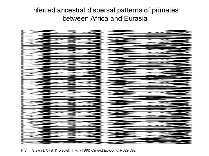 Inferred ancestral dispersal patterns of primates between Africa and Eurasia From: Stewart, C. -B.