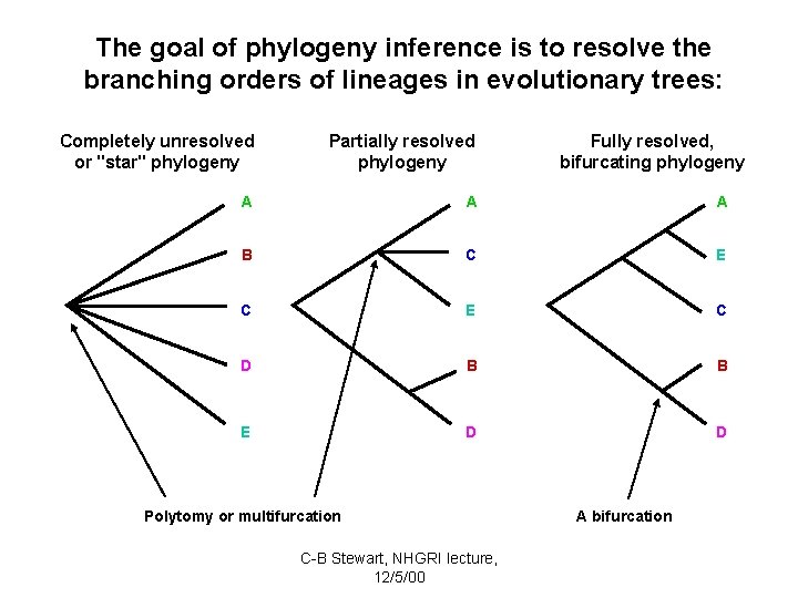 The goal of phylogeny inference is to resolve the branching orders of lineages in