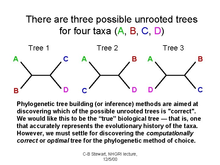 There are three possible unrooted trees for four taxa (A, B, C, D) Tree