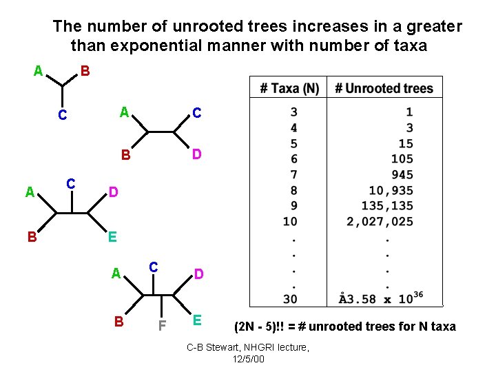 The number of unrooted trees increases in a greater than exponential manner with number