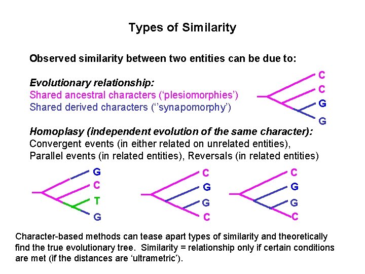 Types of Similarity Observed similarity between two entities can be due to: C C