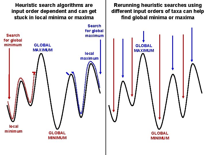 Heuristic search algorithms are input order dependent and can get stuck in local minima