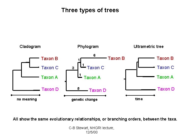 Three types of trees Cladogram Phylogram 6 Taxon B Taxon C Taxon A Taxon