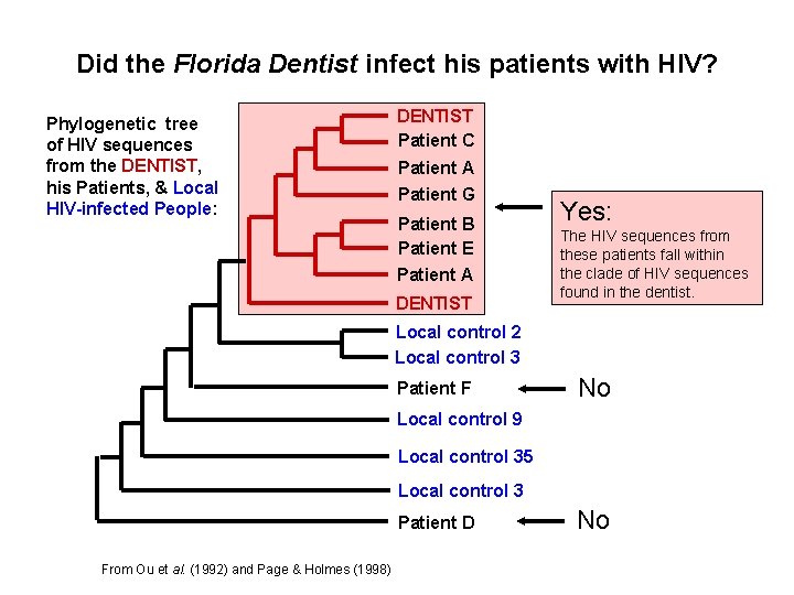 Did the Florida Dentist infect his patients with HIV? Phylogenetic tree of HIV sequences