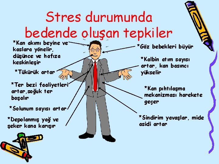 Stres durumunda bedende oluşan tepkiler *Kan akımı beyine ve kaslara yönelir, düşünce ve hafıza