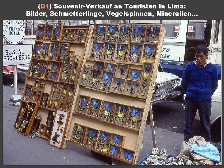 (D 1) Souvenir-Verkauf an Touristen in Lima: Bilder, Schmetterlinge, Vogelspinnen, Mineralien. . . Inhalt