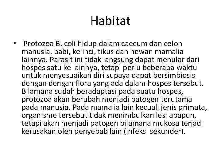 Habitat • Protozoa B. coli hidup dalam caecum dan colon manusia, babi, kelinci, tikus