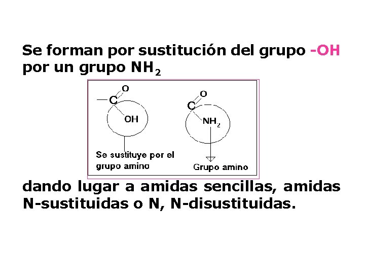 Se forman por sustitución del grupo -OH por un grupo NH 2 dando lugar