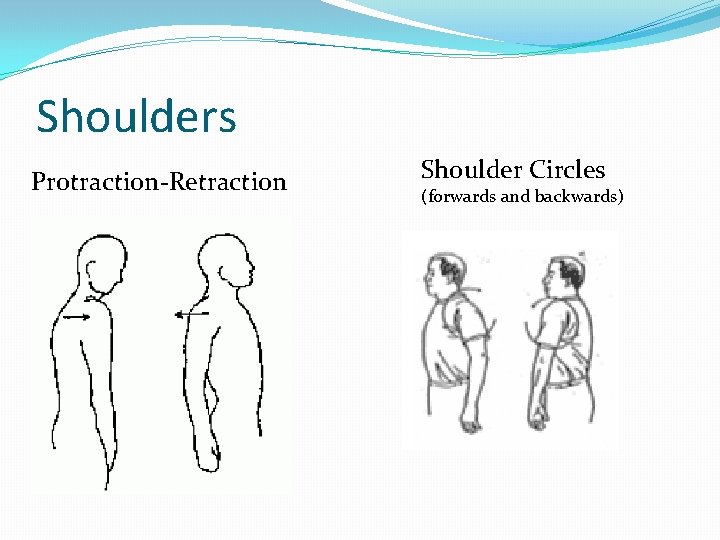 Shoulders Protraction-Retraction Shoulder Circles (forwards and backwards) 