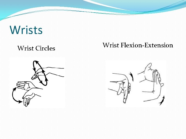 Wrists Wrist Circles Wrist Flexion-Extension 