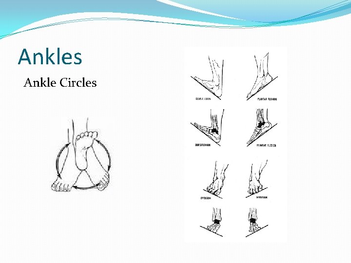 Ankles Ankle Circles 