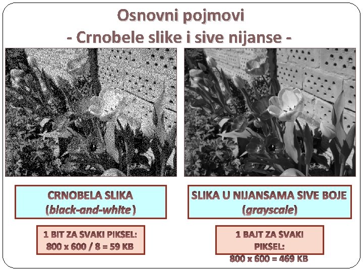 Osnovni pojmovi - Crnobele slike i sive nijanse - CRNOBELA SLIKA (black-and-white ) SLIKA