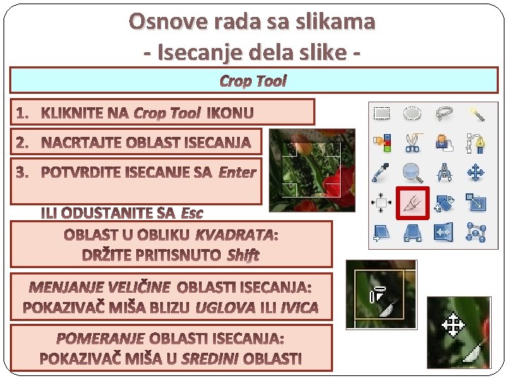 Osnove rada sa slikama - Isecanje dela slike Crop Tool Enter Esc KVADRATA Shift