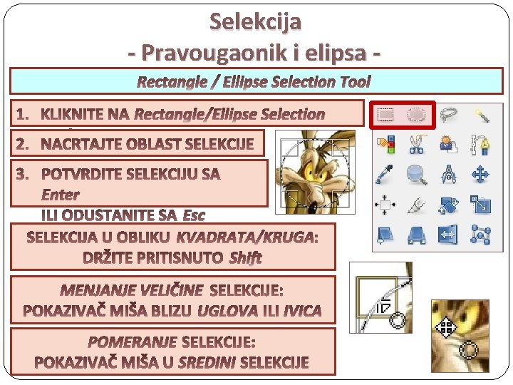 Selekcija - Pravougaonik i elipsa Rectangle / Ellipse Selection Tool Enter Rectangle/Ellipse Selection Esc