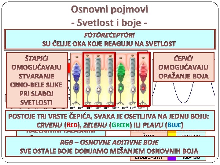 Osnovni pojmovi - Svetlost i boje FOTORECEPTORI SVETLOST ŠTAPIĆI ČEPIĆI RED ), ZELENU (G