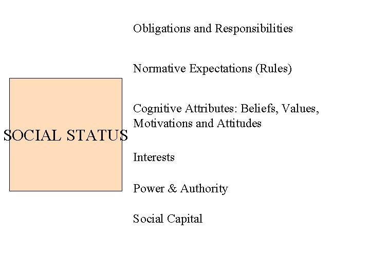Obligations and Responsibilities Normative Expectations (Rules) SOCIAL STATUS Cognitive Attributes: Beliefs, Values, Motivations and