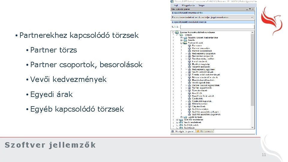 • Partnerekhez kapcsolódó törzsek • Partner törzs • Partner csoportok, besorolások • Vevői
