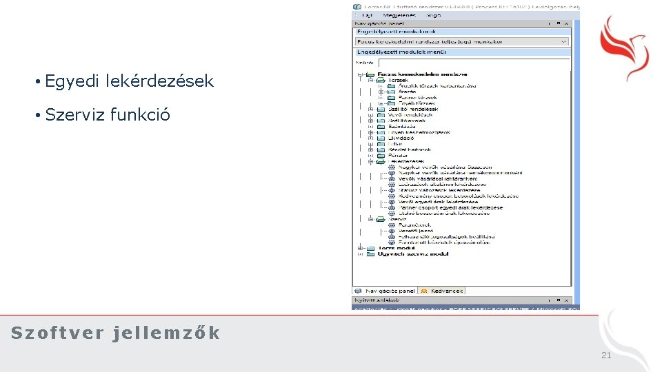  • Egyedi lekérdezések • Szerviz funkció Szoftver jellemzők 21 