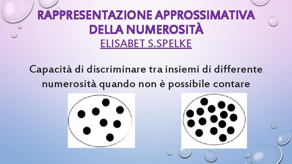 RAPPRESENTAZIONE APPROSSIMATIVA DELLA NUMEROSITÀ ELISABET S. SPELKE Capacità di discriminare tra insiemi di differente
