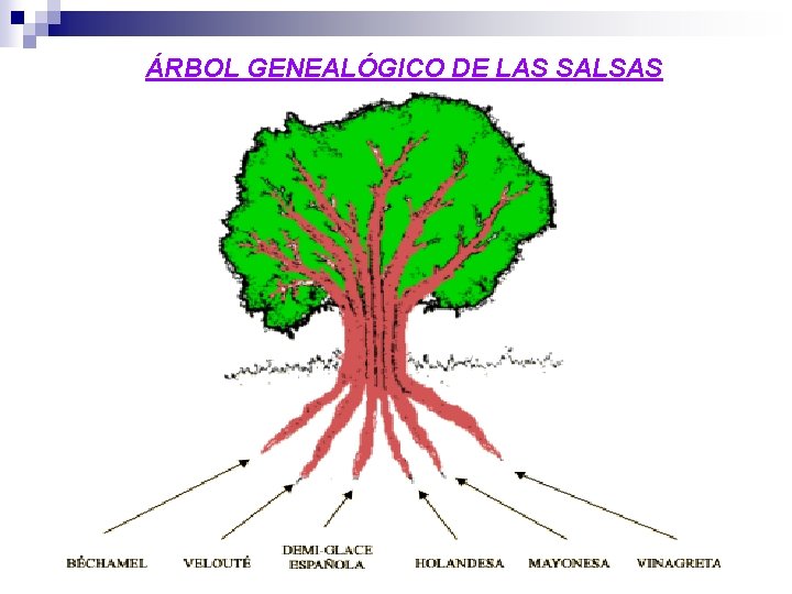ÁRBOL GENEALÓGICO DE LAS SALSAS 