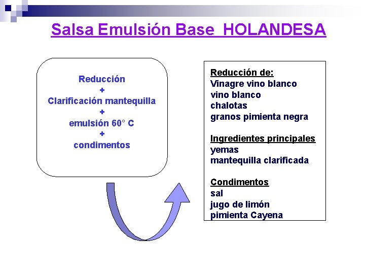 Salsa Emulsión Base HOLANDESA Reducción + Clarificación mantequilla + emulsión 60° C + condimentos