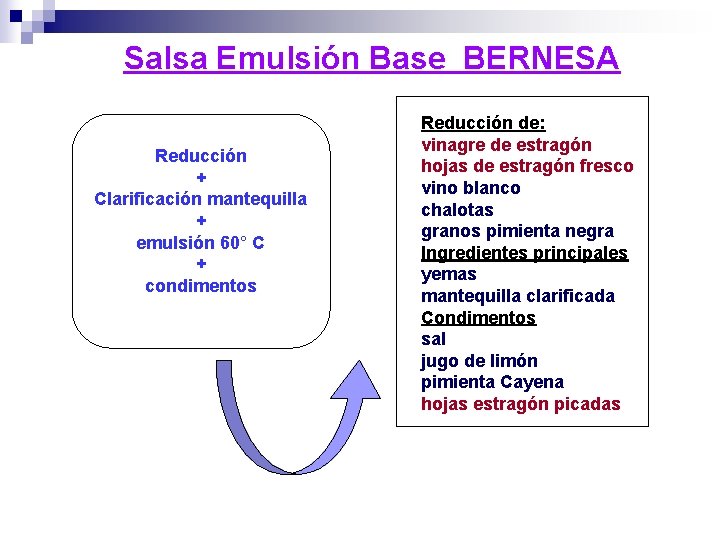 Salsa Emulsión Base BERNESA Reducción + Clarificación mantequilla + emulsión 60° C + condimentos