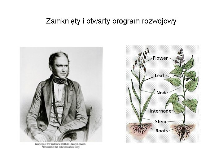 Zamknięty i otwarty program rozwojowy 