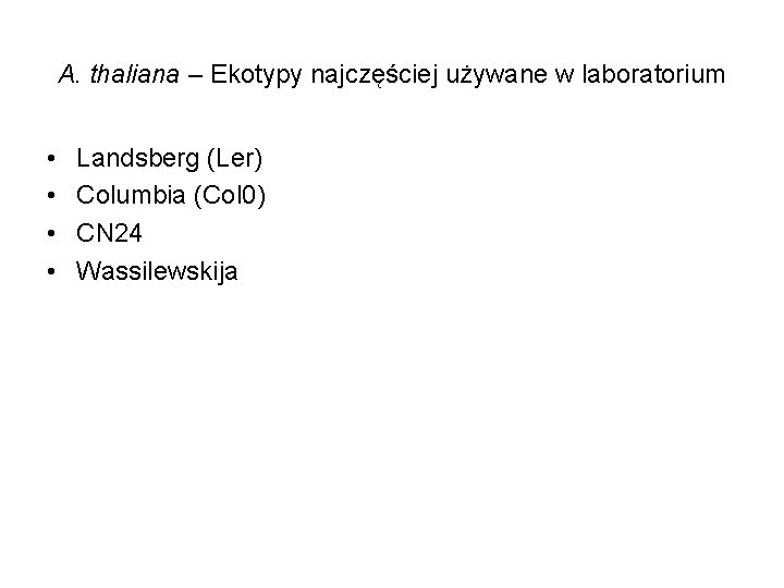 A. thaliana – Ekotypy najczęściej używane w laboratorium • • Landsberg (Ler) Columbia (Col