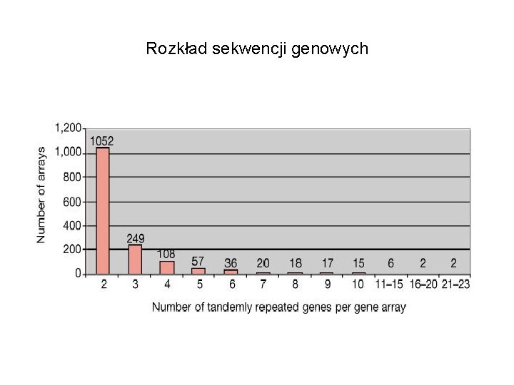 Rozkład sekwencji genowych 