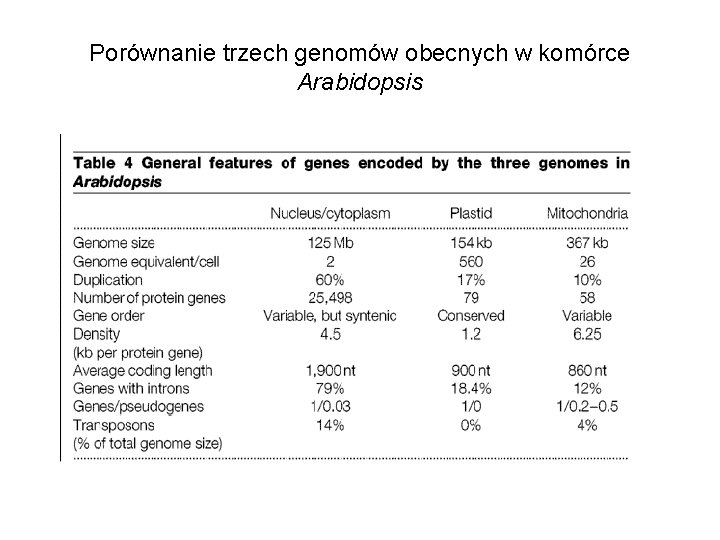 Porównanie trzech genomów obecnych w komórce Arabidopsis 