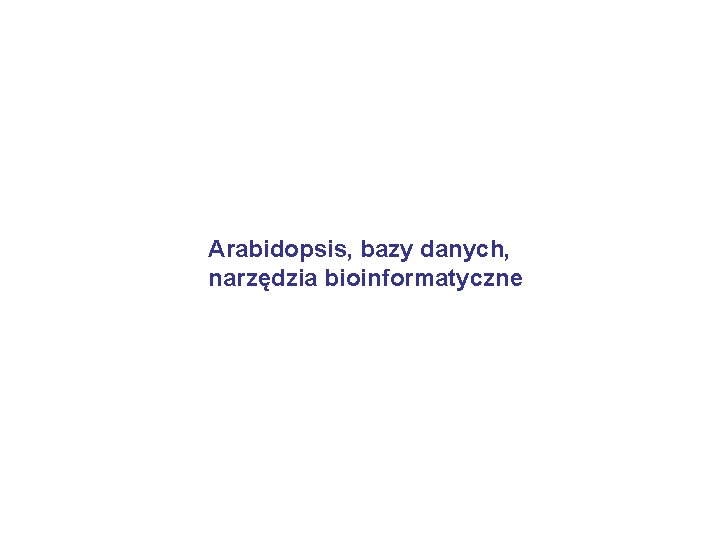 Arabidopsis, bazy danych, narzędzia bioinformatyczne 