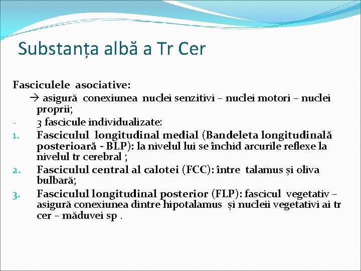 Substanța albă a Tr Cer Fasciculele asociative: asigură conexiunea nuclei senzitivi – nuclei motori