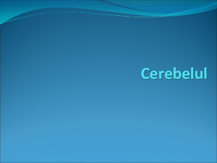 Cerebelul 