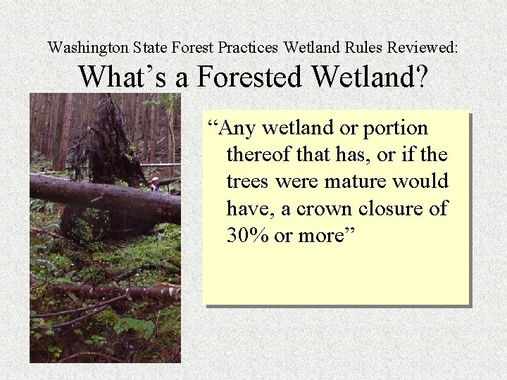 Washington State Forest Practices Wetland Rules Reviewed: What’s a Forested Wetland? “Any wetland or