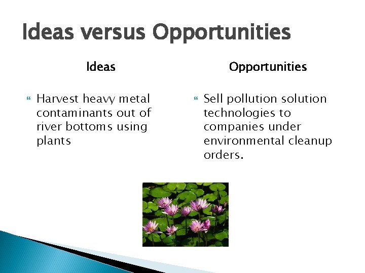 Ideas versus Opportunities Ideas Harvest heavy metal contaminants out of river bottoms using plants