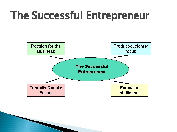 The Successful Entrepreneur Passion for the Business Product/customer focus The Successful Entrepreneur Tenacity Despite