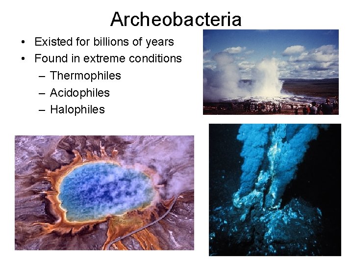 Archeobacteria • Existed for billions of years • Found in extreme conditions – Thermophiles