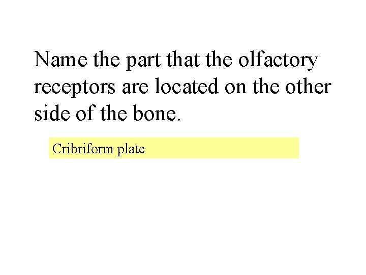 Name the part that the olfactory receptors are located on the other side of